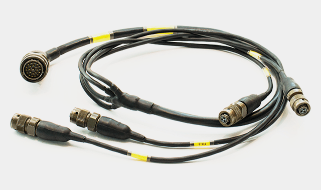 ECU Cable Harness1